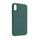 Чехол Full Silicone Case для Apple iPhone Xr pine green (55)