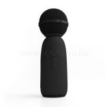 Микрофон-колонка LY168 беспроводной black - купить за 806.40 грн в Киеве, Украине