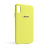 Чехол Full Silicone Case для Apple iPhone Xr flash lime (41)